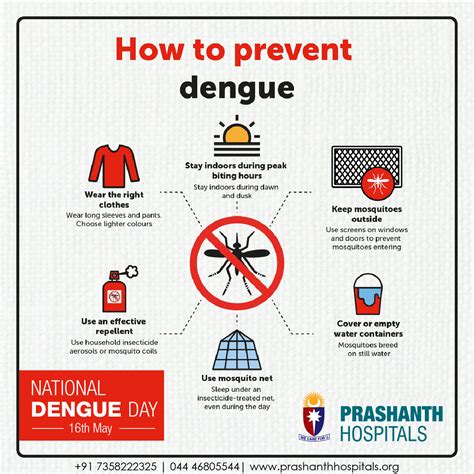 dengue disease prevention